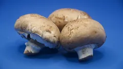 Drie paddenstoelen op een blauwe ondergrond